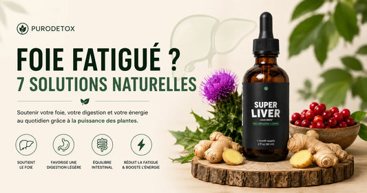 Foie fatigué : symptômes, causes et solutions naturelles