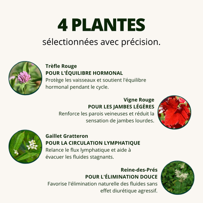 Drainant Lymphatique — Rétention & Légèreté